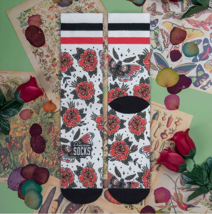 American Socks Moth – Mid High MoFa lounge Künzelsau Hohenlohe Baden Württemberg 6