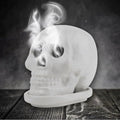 Räucher Totenkopf-MoFa Lounge Künzelsau Hohenlohe Baden Württemberg 3